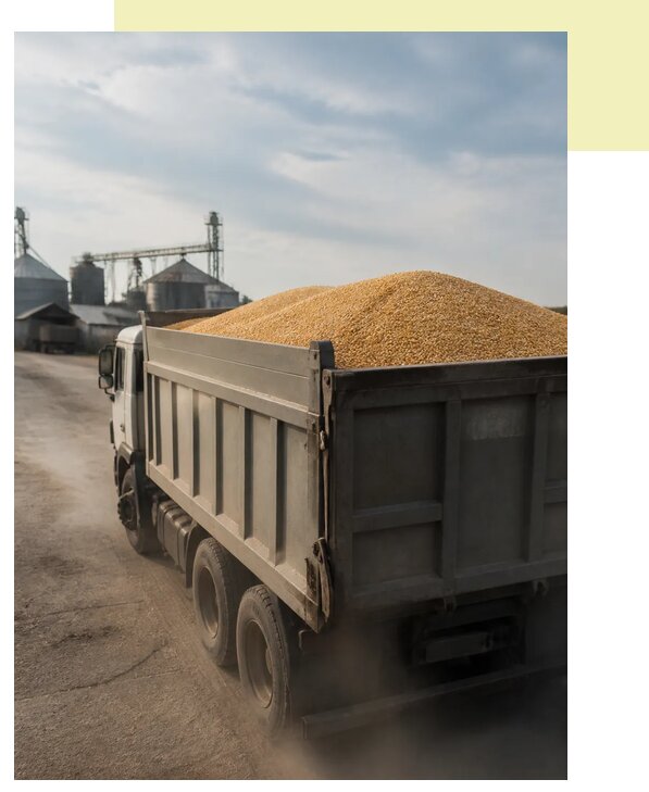 Перевозка сельхозпродукции навалом в Касимов по цене от 3262 р. | Агросервис-Ксм