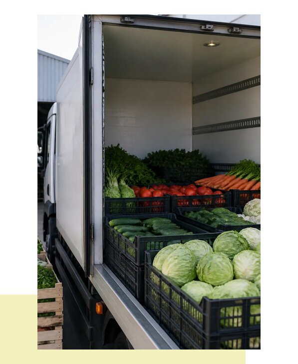 Перевозка свежих овощей в Касимов с гарантией сохранности